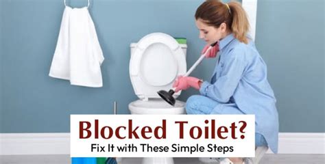 port moody clogged toilet repair|Clogged Toilet Repairs .